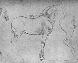 Een paard in profiel naar rechts en zijn achterkwartieren, ca. 1480, 1945