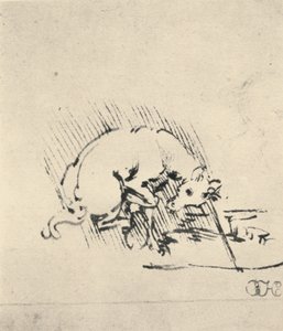 Een eenhoorn die zijn hoorn in het water doopt, ca. 1480 1945 door Leonardo da Vinci