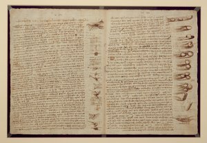 Een pagina uit de Codex Leicester, 1508-12