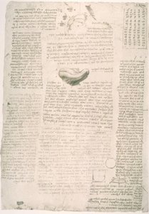 Anatomiestudies door Leonardo da Vinci