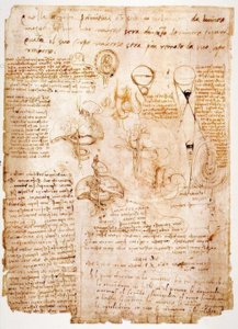 Anatomische studies: organen van de buik... door Leonardo da Vinci