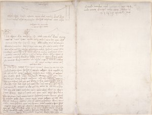Aantekeningen en diagrammen over de vlucht van vogels, uit 