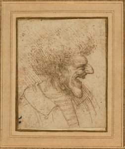 Karikatuur van een man met borstelig haar door Leonardo da Vinci