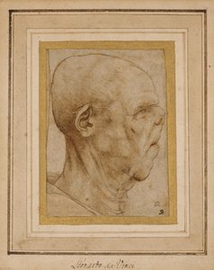 Karikatuur van het hoofd van een oude man, in profiel naar rechts door Leonardo da Vinci