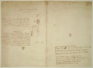  door Leonardo da Vinci