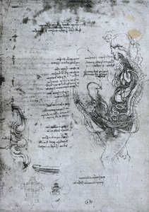 Coïtus van Gehalveerde Man en Vrouw, facsimile kopie door Leonardo da Vinci