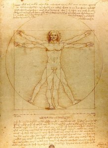 Da Vinci Vitruve Luc Viatour (uitsnede) door Leonardo da Vinci