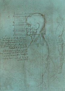 Tekening ter illustratie van de theorie van de proporties van het menselijk figuur, ca. 1472-ca. 1519 1883