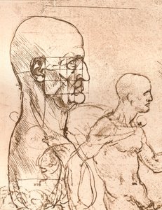 Tekening ter illustratie van de theorie van de proporties van het menselijk figuur, ca. 1472-1519, 1883