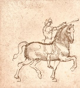 Tekening van een wandelend paard, ca. 1472-ca. 1519, 1883 door Leonardo da Vinci