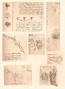 Vijf tekeningen die de elementen van landschapschilderkunst illustreren, ca. 1472-ca. 1519 1883 door Leonardo da Vinci