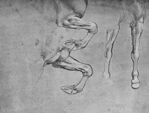 Vier studies van paardenbenen, c. 1480
