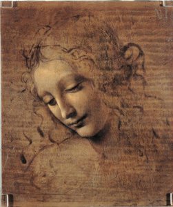 Vrouwenhoofd door Leonardo da Vinci