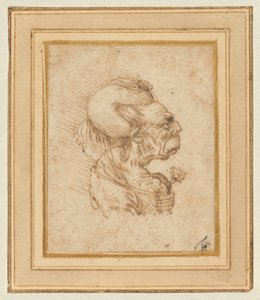  door Leonardo da Vinci
