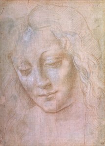Hoofd van een vrouw door Leonardo da Vinci