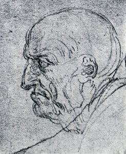 Hoofd van een Oude Man, 1913 door Leonardo da Vinci
