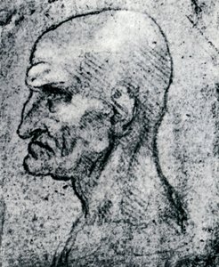 Hoofd van een oude man, 1913 door Leonardo da Vinci