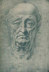 Hoofd van een oude man door Leonardo da Vinci
