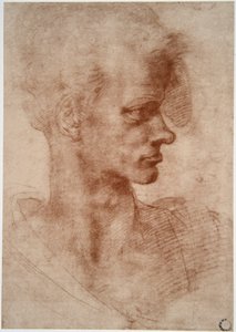 Karikatuurportret van een jonge man door Leonardo da Vinci
