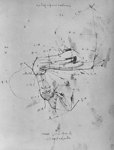 Gemeten tekening van het voorbeen van een paard, ca. 1480 door Leonardo da Vinci