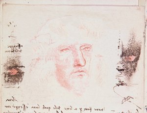 Aantekeningen over de Richtingsveranderingen in de Vlucht, manuscriptpagina uit Codici Rari III 35.2, fol. 10v uit Verhandeling over de Vlucht van Vogels, 1505