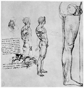 Naaktstudies voor De Slag bij Anghiari, ca. 1503-1505 1954 door Leonardo da Vinci