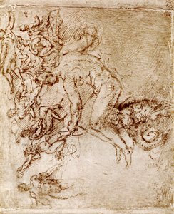 Pen- en inkttekeningen van Leonardo Da Vinci door Leonardo da Vinci