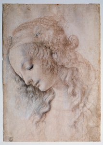 Portret van een meisje door Leonardo da Vinci