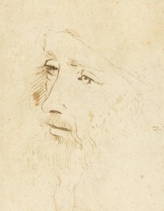Portret van Leonardo da Vinci, ca 1518 door Leonardo da Vinci,