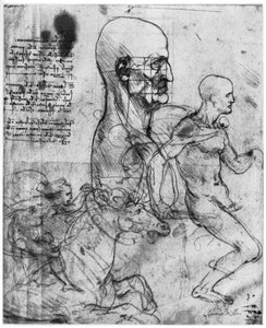 Profiel van een mannenhoofd en studies van twee ruiters, ca. 1490 en ca. 1504