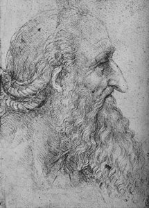 Profiel van een oude, bebaarde man naar rechts, ca. 1480 1945