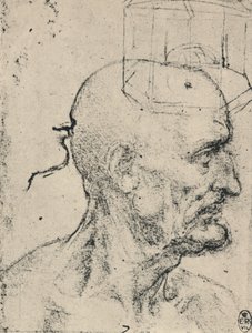 Profiel naar rechts van een kale man door Leonardo da Vinci