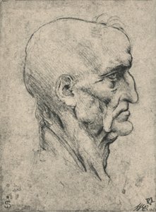 Profiel naar rechts van een oudere kale man, ca. 1480