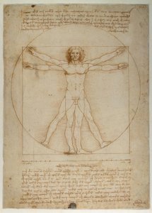 Proportieschema van de menselijke gestalte volgens Vitruvius door Leonardo da Vinci