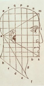 Proportiestudie van het menselijk hoofd