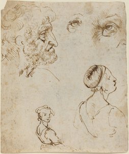 Blad met studies door Leonardo da Vinci