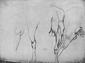 Studies van paardenbenen, c1480 1945