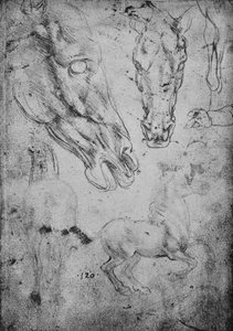 Studies van paarden en paardenhoofden, ca. 1480