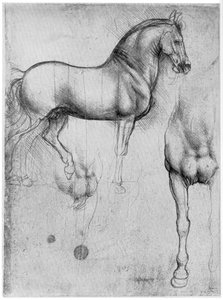 Studies van paarden, ca. 1490 1954 door Leonardo da Vinci