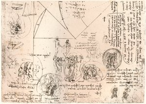 Studies van emblemen (c1472-c1519, 1883)