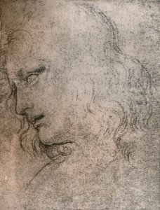 Studie voor het hoofd van St. Philip in `Het Laatste Avondmaal`, ca. 1494-1499