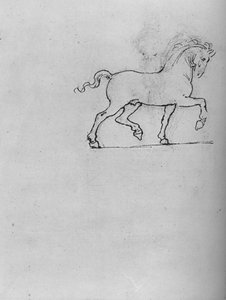 Studie van een paard, ca. 1480 1945 door Leonardo da Vinci