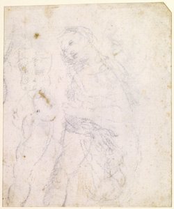  door Leonardo da Vinci