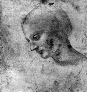 Studie van het hoofd van de Madonna door Leonardo da Vinci