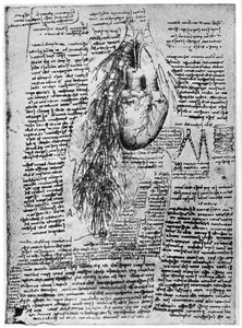 Studie van het hart en de bronchiale slagaders, eind 15e of begin 16e eeuw door Leonardo da Vinci