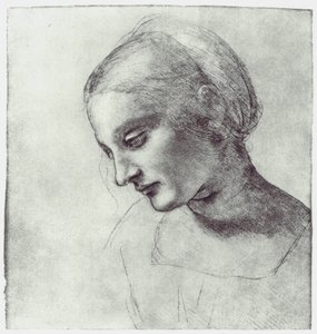 Het hoofd van een Madonna, c1484-1486 door Leonardo da Vinci