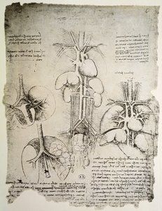 Het hart en de bloedsomloop, facsimile van het Windsor-boek door Leonardo da Vinci