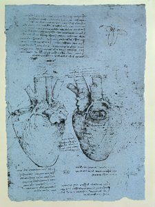 Het hart, facsimile van het Windsor-boek door Leonardo da Vinci