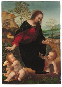 De Madonna en Kind met de jonge Sint Jan de Doper door Leonardo da Vinci