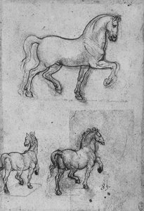 Drie Studies van Paarden